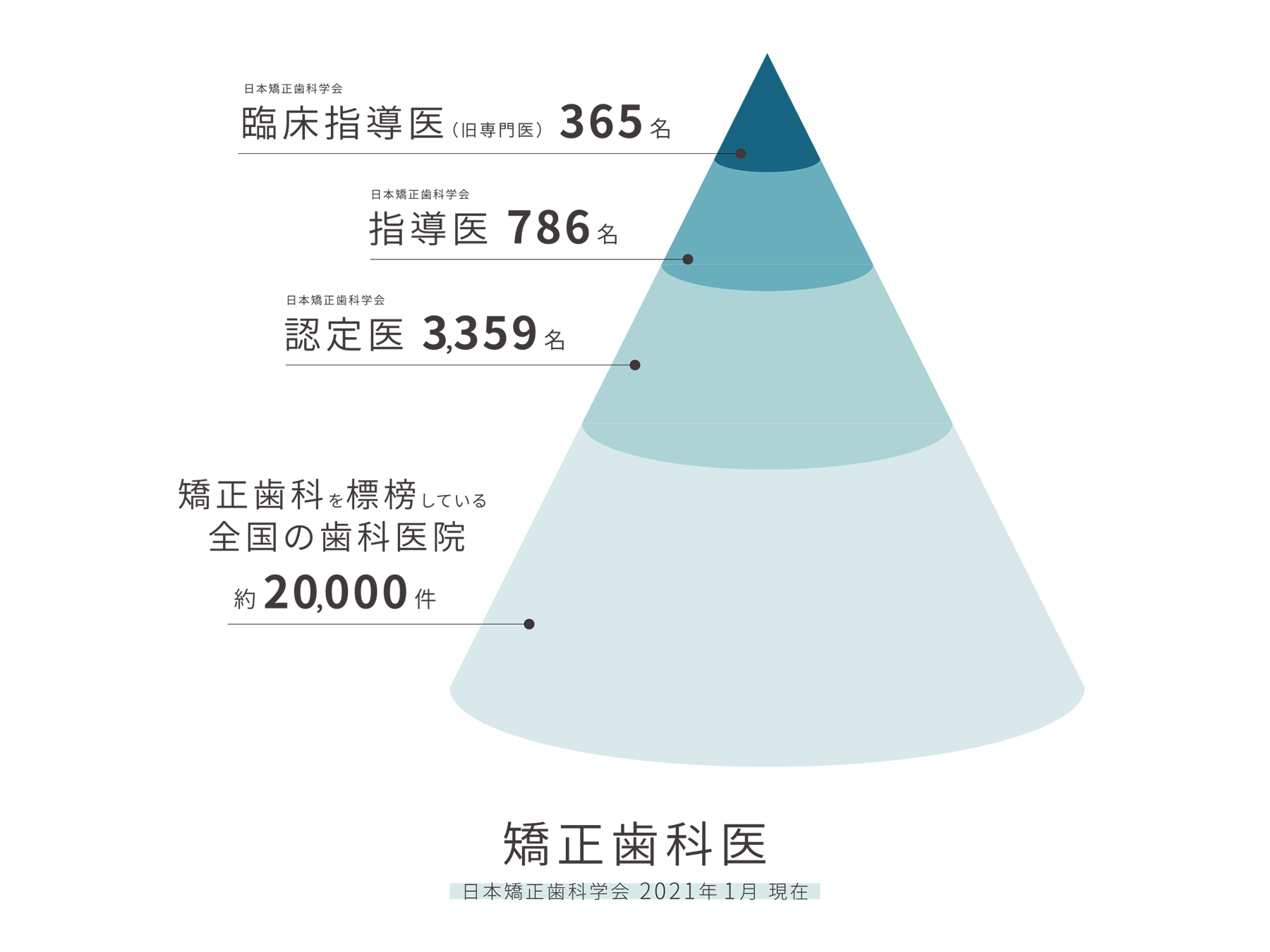 医師の紹介 きづがわ矯正歯科 村林歯科診療所 木津川市 奈良市